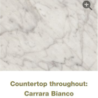 03-Countertop-throughout-Carrara-Bianco 03-Countertop-throughout-Carrara-Bianco